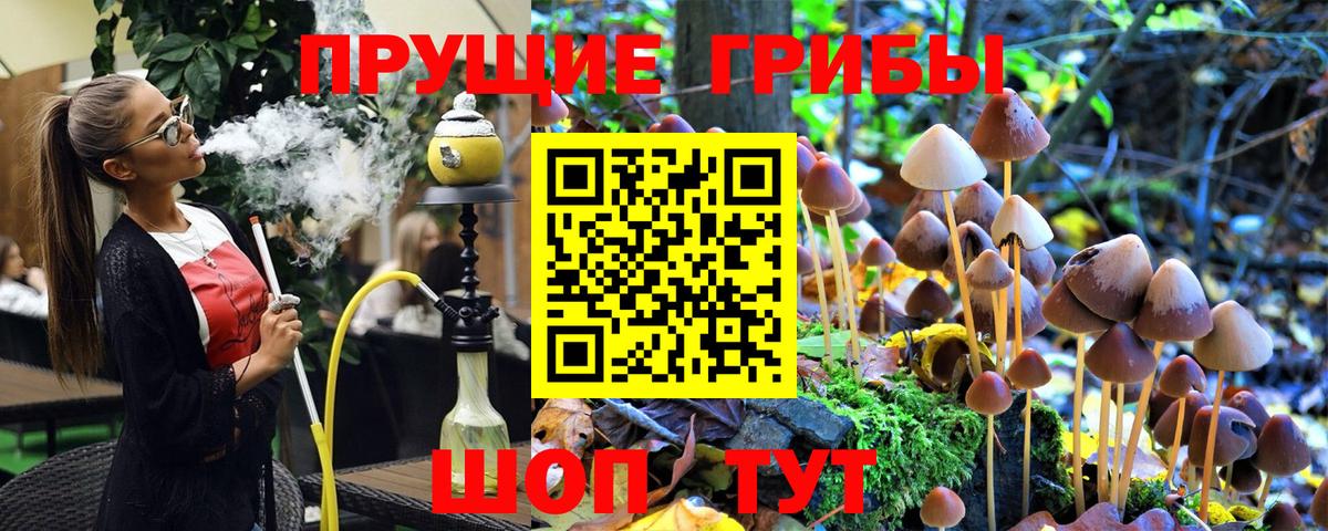 Миасс  Галлюциногенные грибы Cubensis  Вход с VPN 